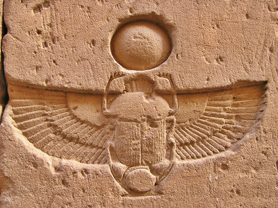 scarab